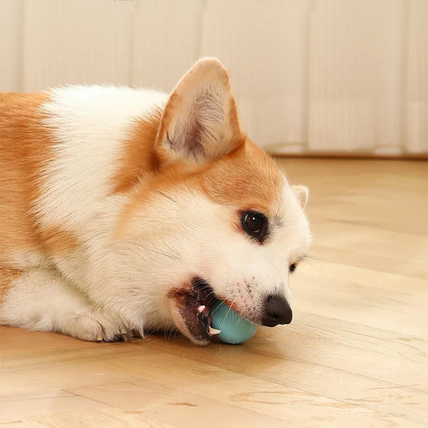 Auto Rolling Ball Puppy Toys