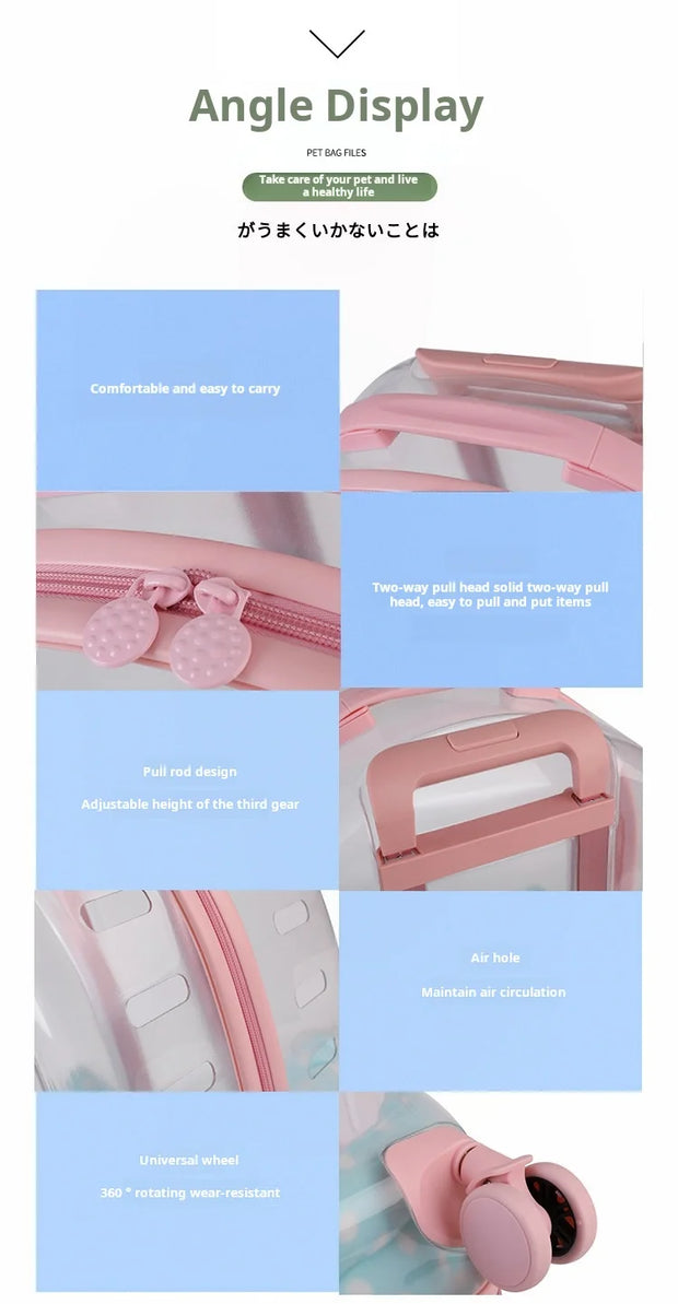 Portable Pet Carrier for Small