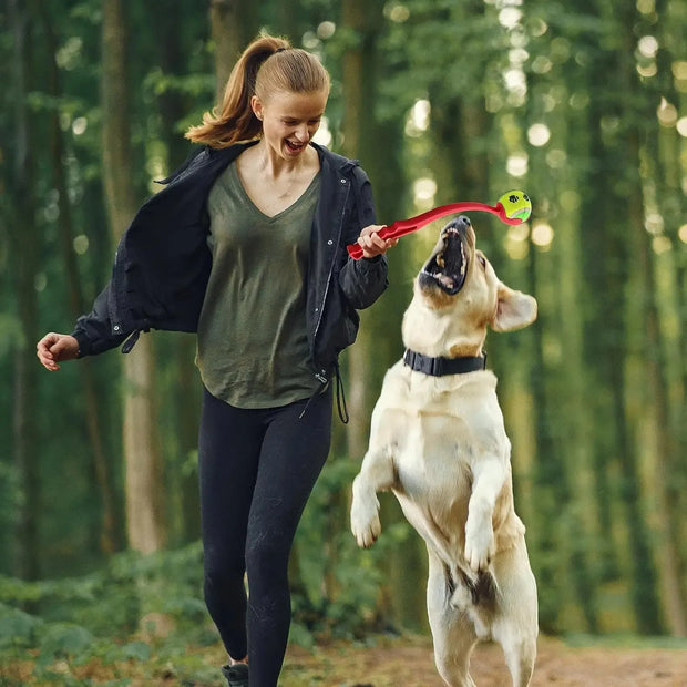 Dogs Training Pet Toys
