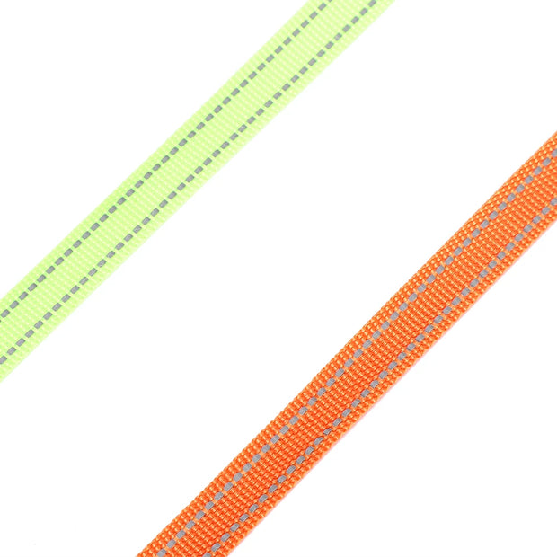 Pet Walking Lead Automatic Extendable